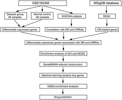 Identification of key genes modules linking diabetic retinopathy and circadian rhythm